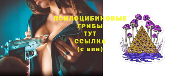 бошки Алзамай