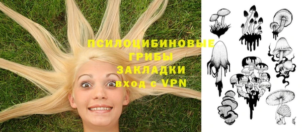 спиды Алексеевка